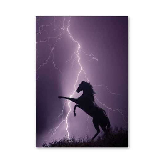 Poster Cheval Éclair