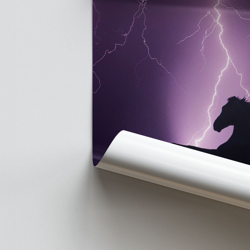 Poster Cheval Éclair