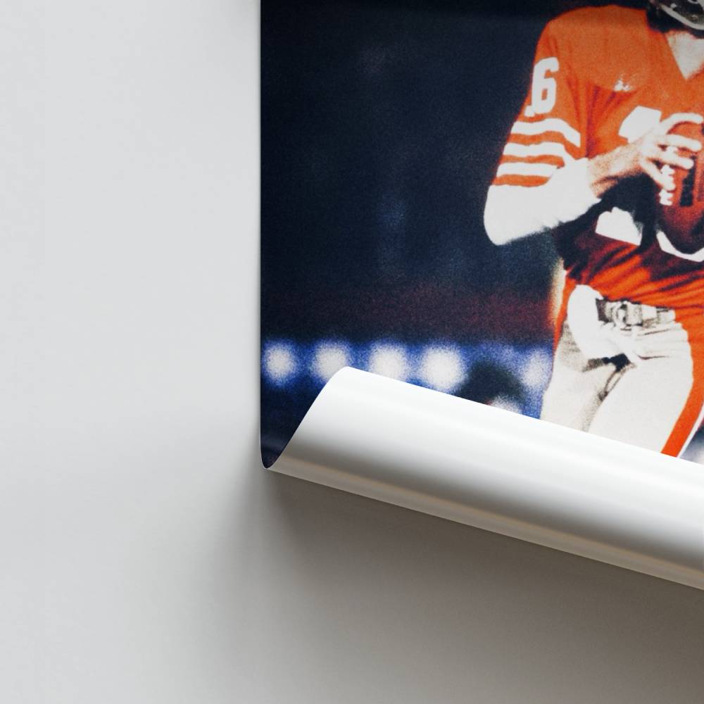 Poster Maître du Gridiron