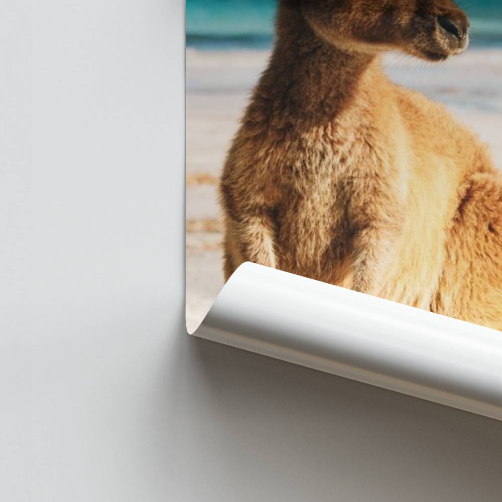 Känguru-Strand-Poster