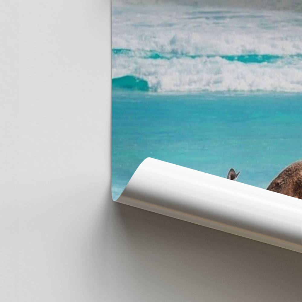 Poster Southern Escape