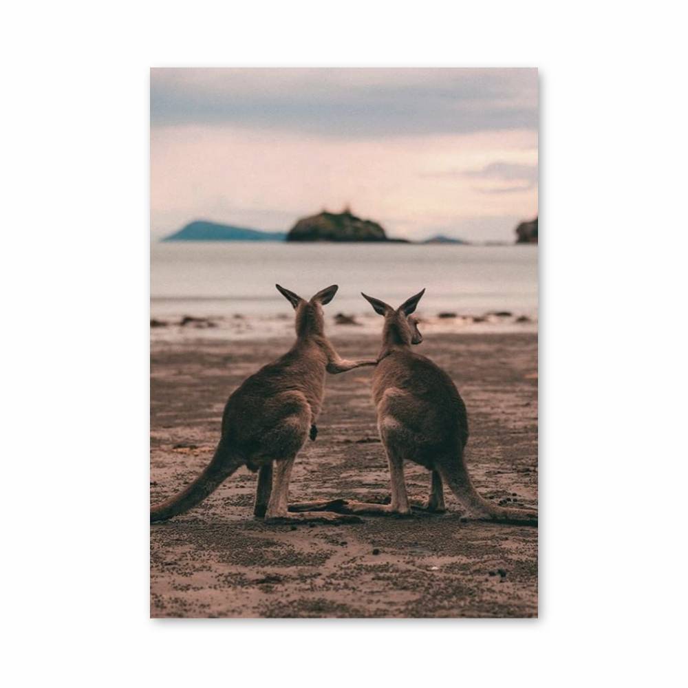 Poster Kinship Coast