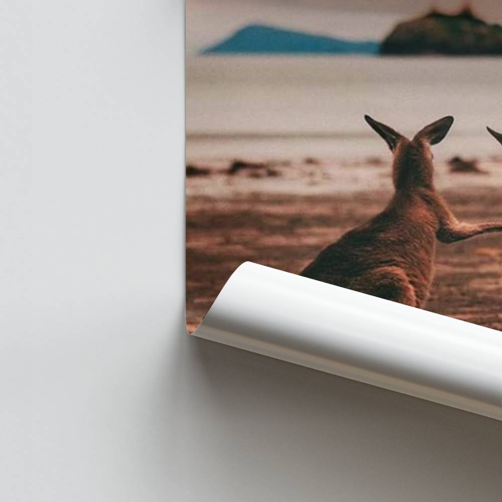 Verwandtschaftsküstenplakat