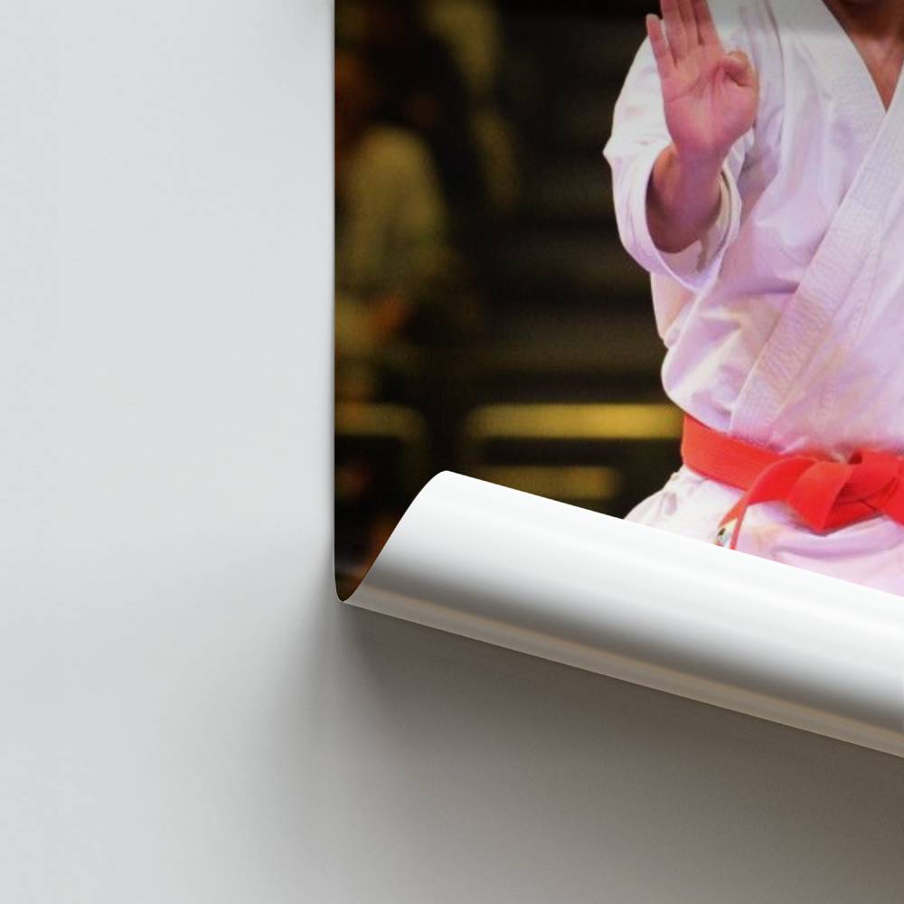Poster Zen-Kick