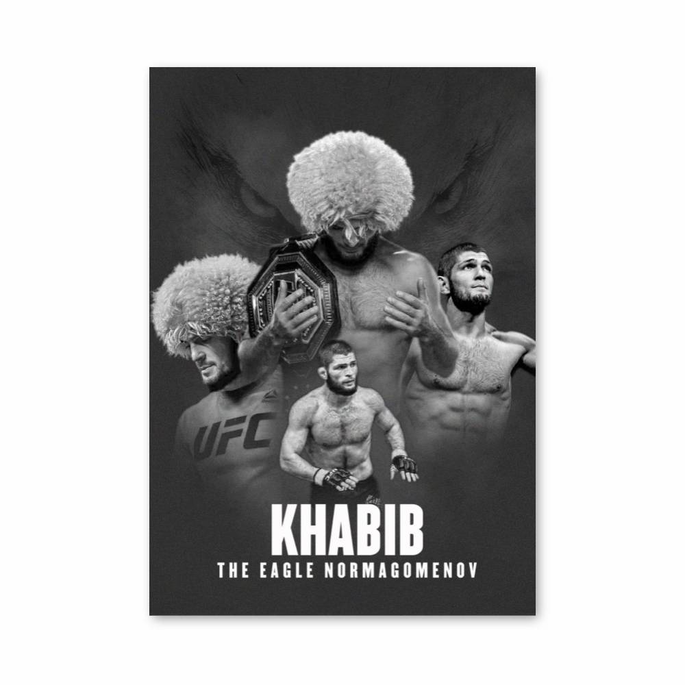 Poster The Eagle Fighter