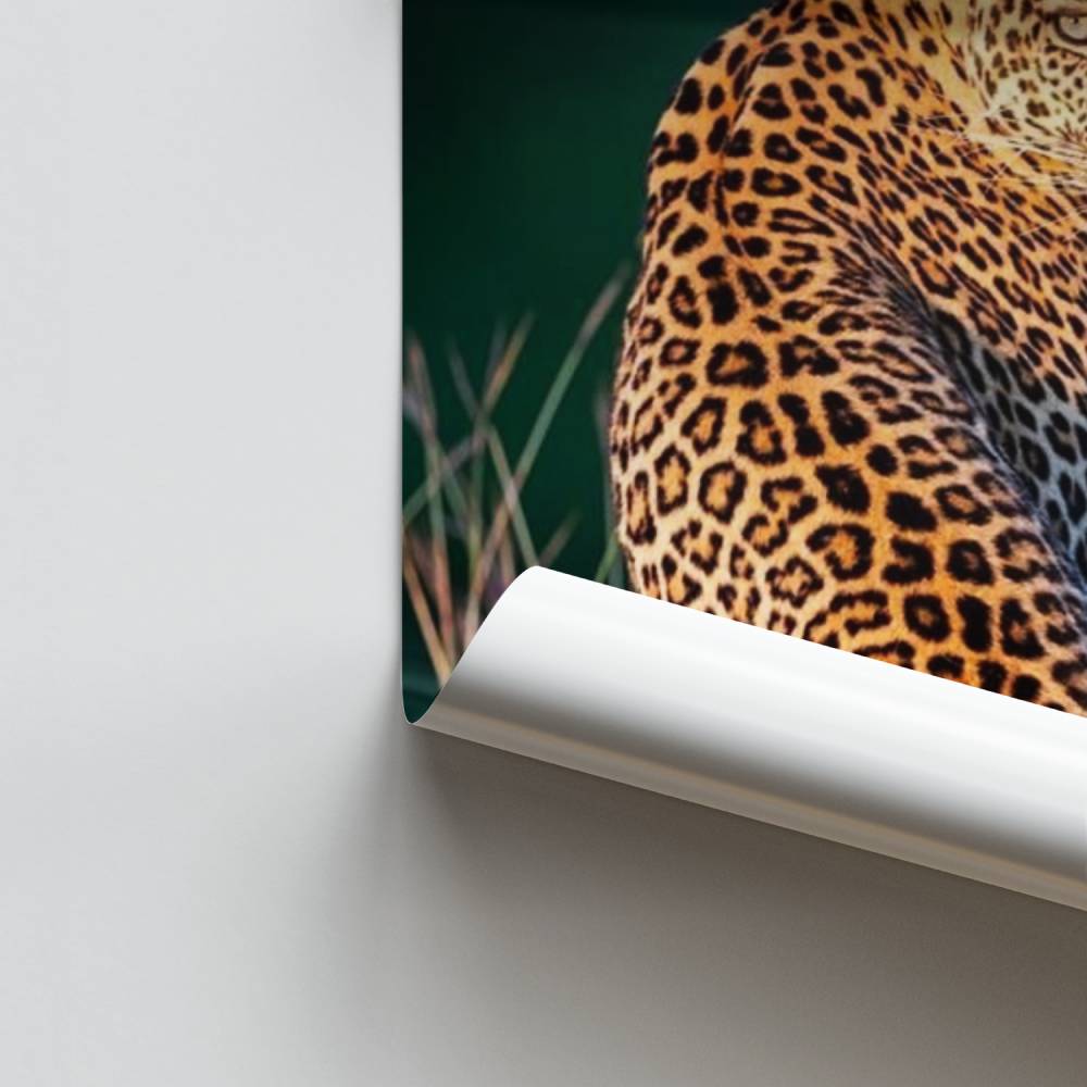 Wild Sparkle Poster