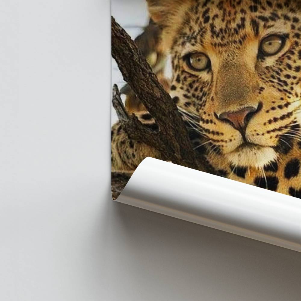 Wildes Eleganz-Poster