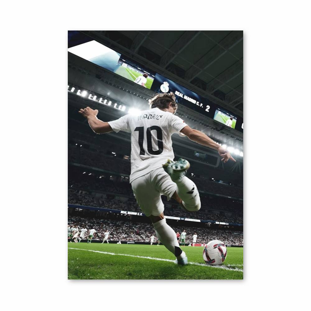 Poster Maître du Terrain