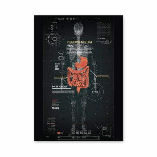 Poster Système Digestif