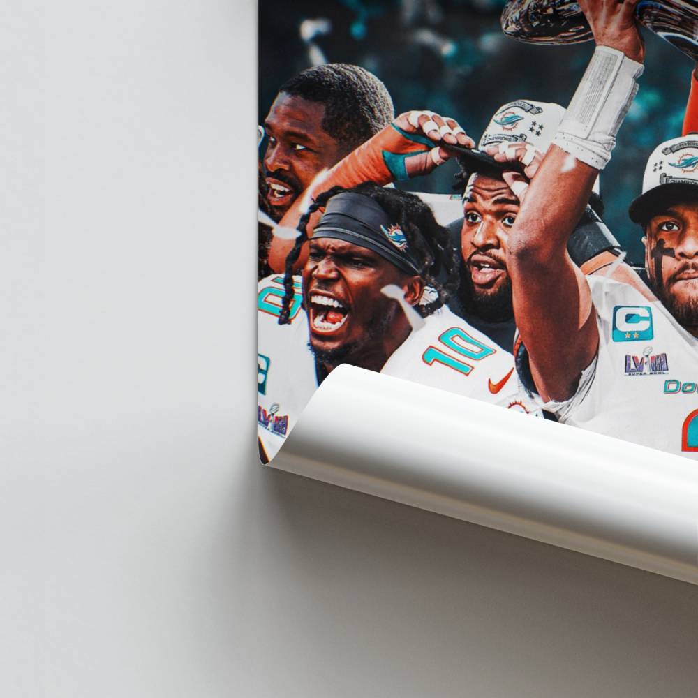 Poster Victoire Dauphins