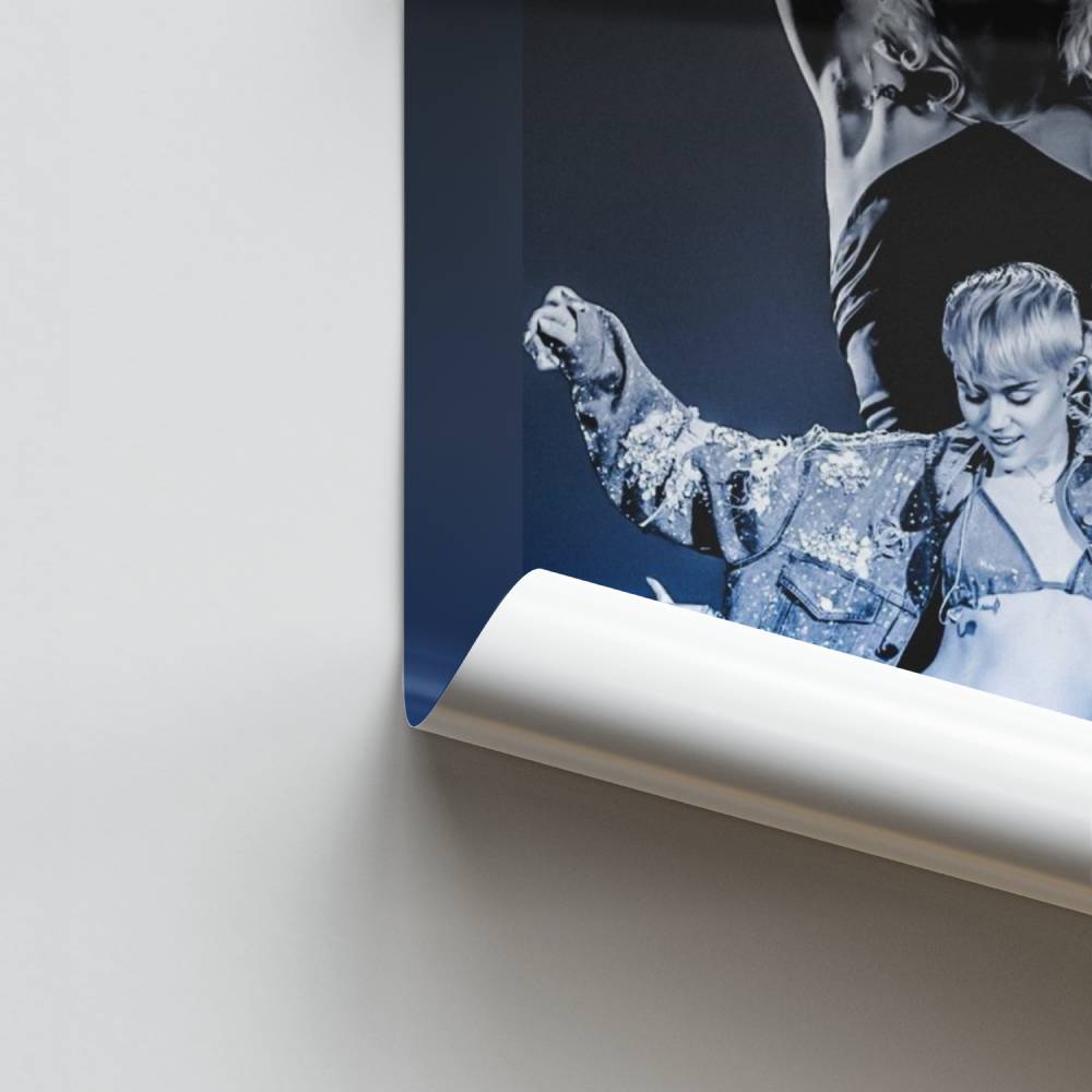 Poster Ikonische Evolution