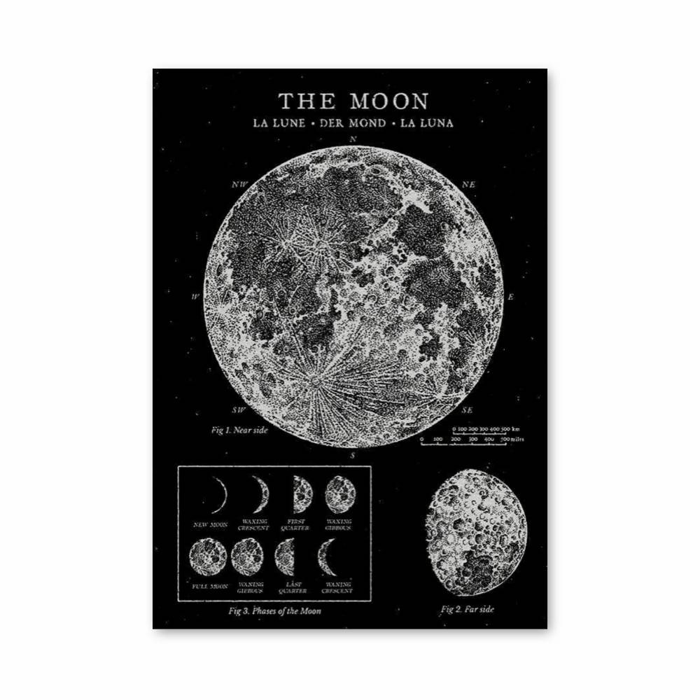 Poster Phases de la Lune