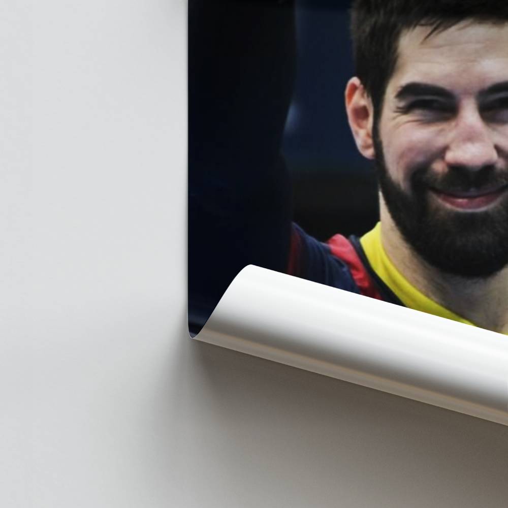 Poster Handball-Champion