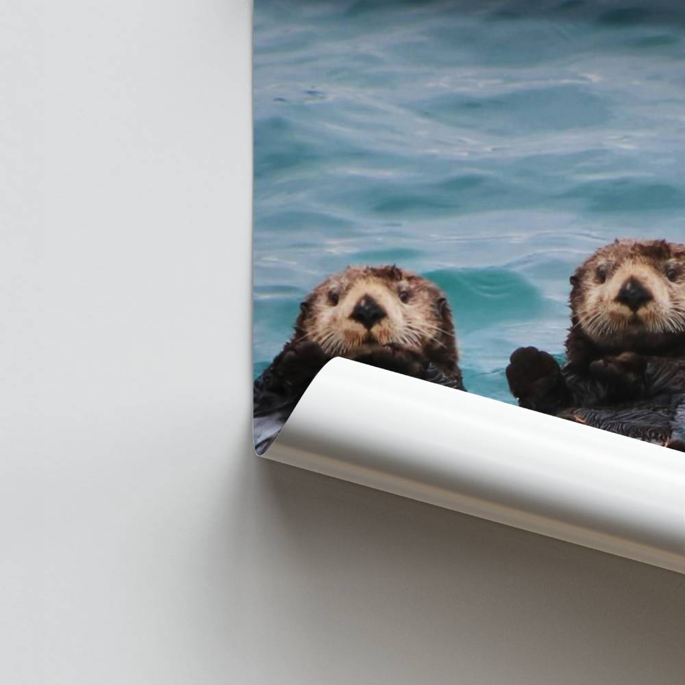 Entspannendes Otter-Poster