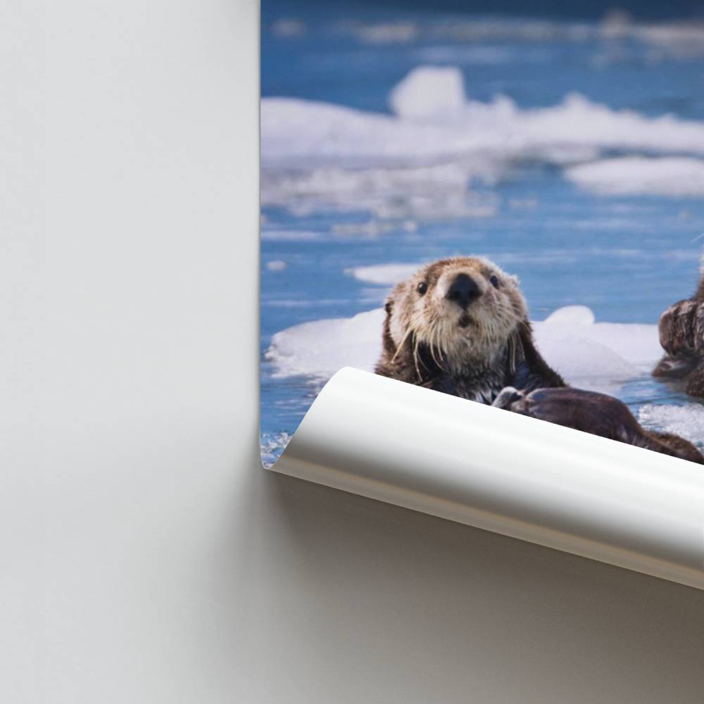 Entspannendes Otter-Poster