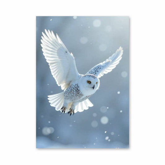 Poster Vol de Neige