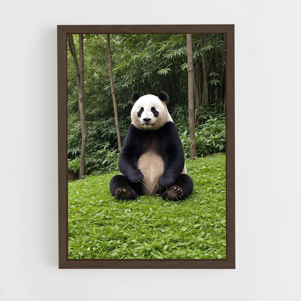 panda-2 cadre Bois foncé