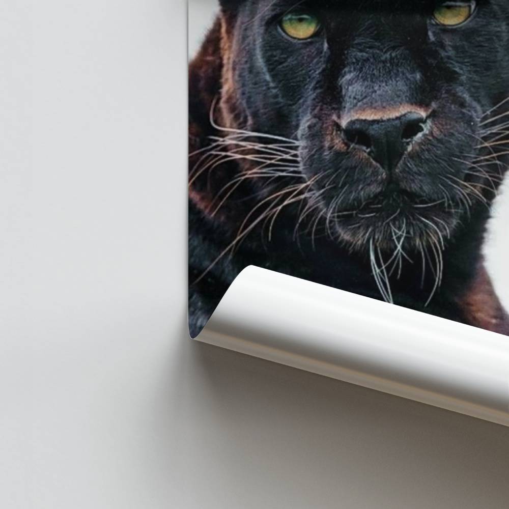 Nächtliches Majestätsplakat