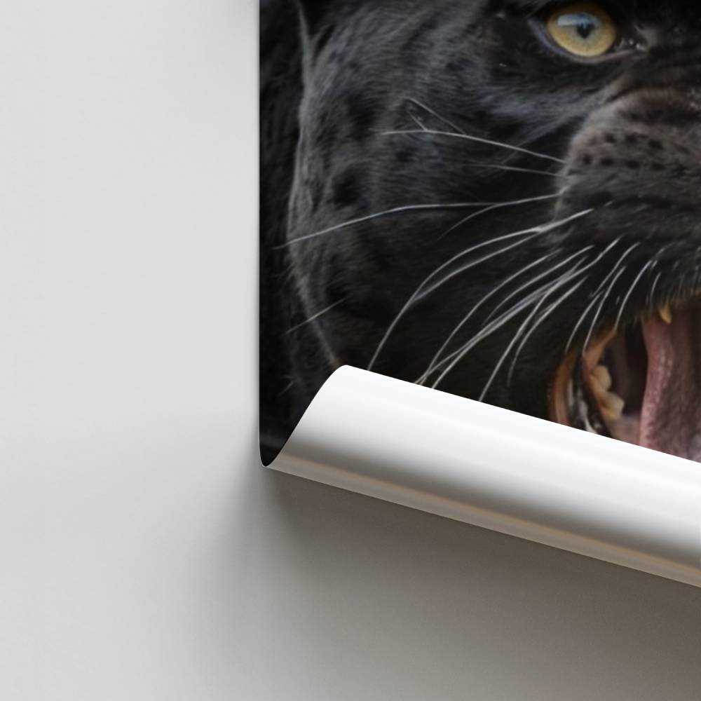 Panther-Gebrüll-Poster