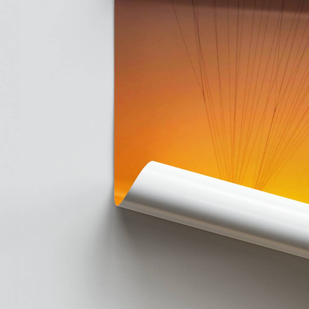 Sunset Glide-Poster