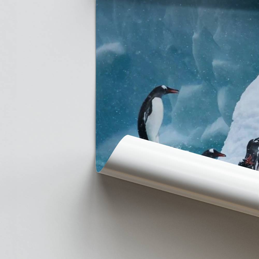 Poster Marsch der Pinguine
