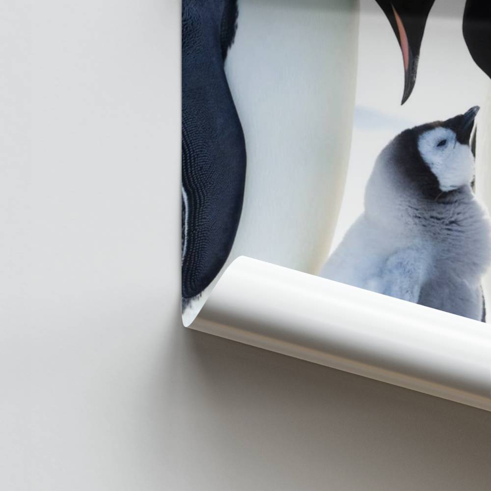 Poster der kaiserlichen Familie