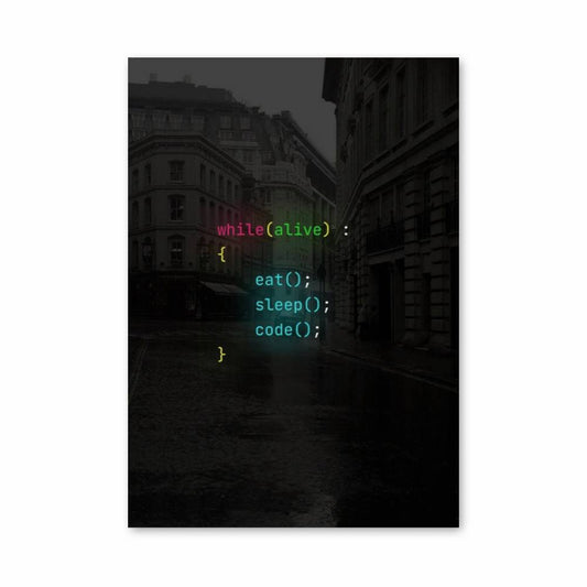 Poster Vie de Programmeur