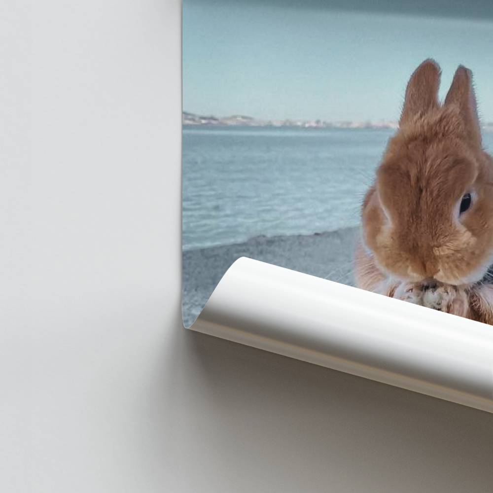 Kuscheliges Kaninchen-Poster