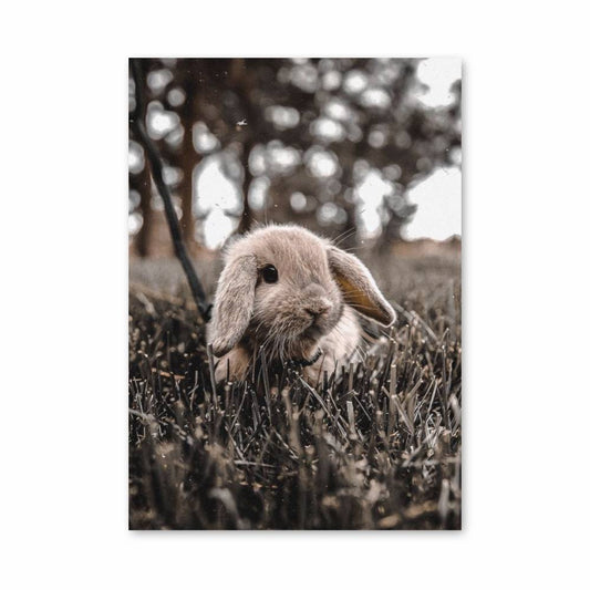 Poster Douceur Naturelle