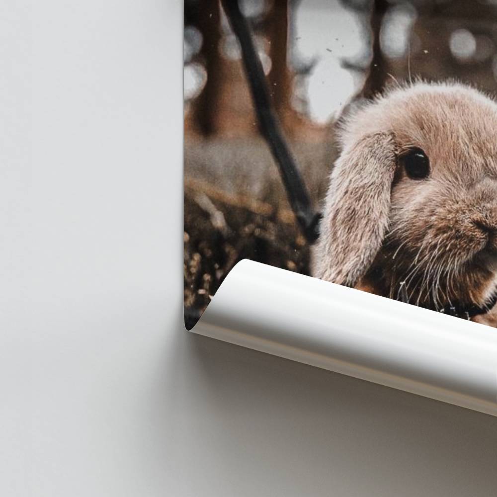Poster Natürliche Süße