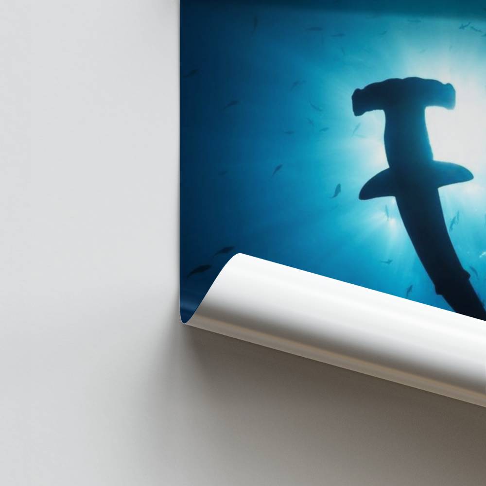 Hammerhai-Poster