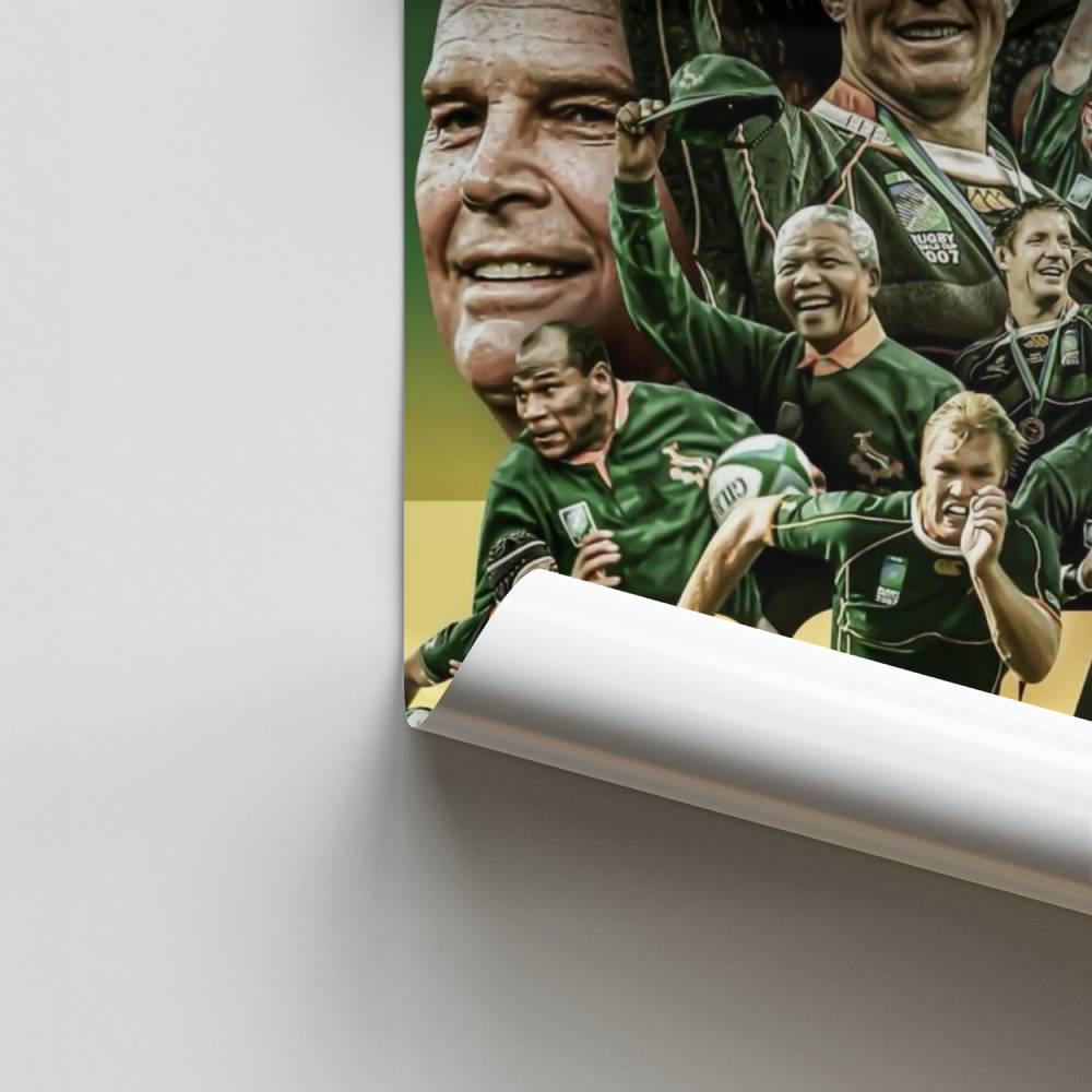 Springboks-Energieplakat