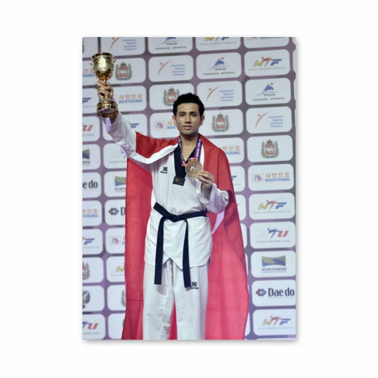 Poster Champion Taekwondo