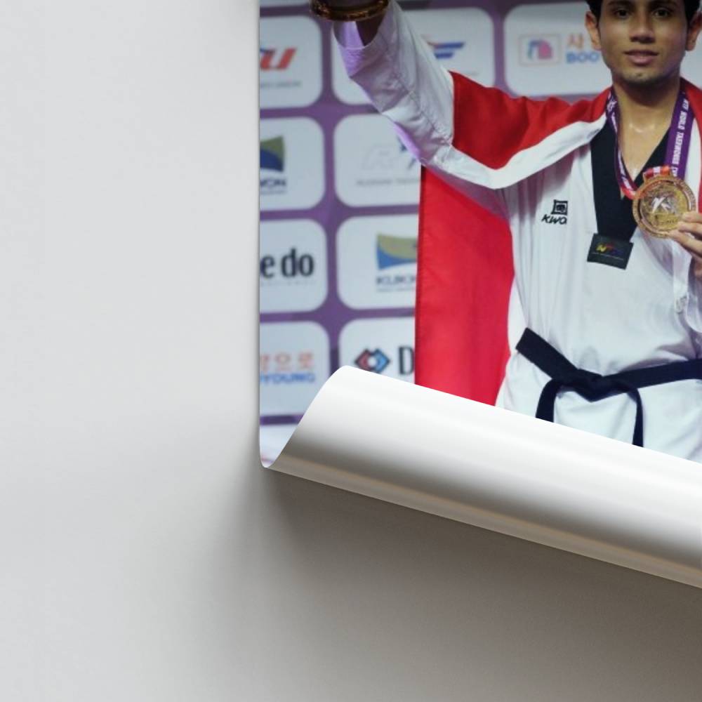 Taekwondo-Champion-Poster