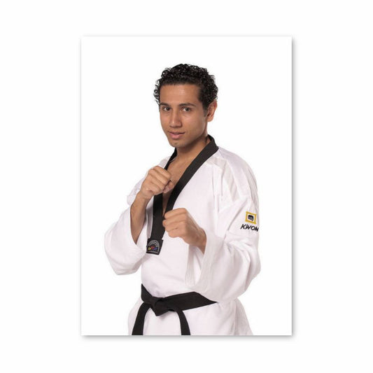 Poster Esprit Taekwondo