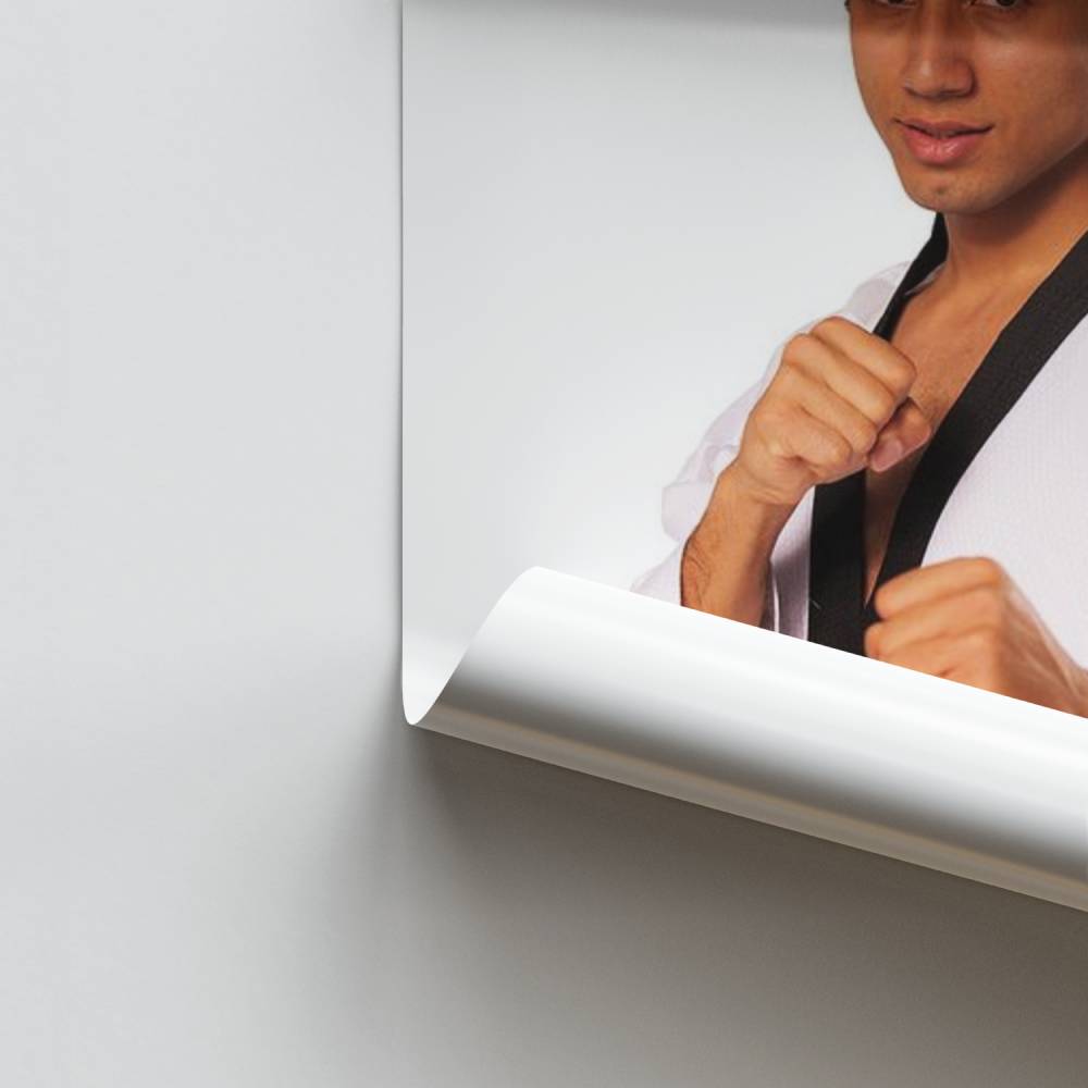 Taekwondo-Geist-Poster