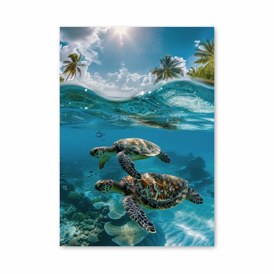 Poster Paradis Aquatique