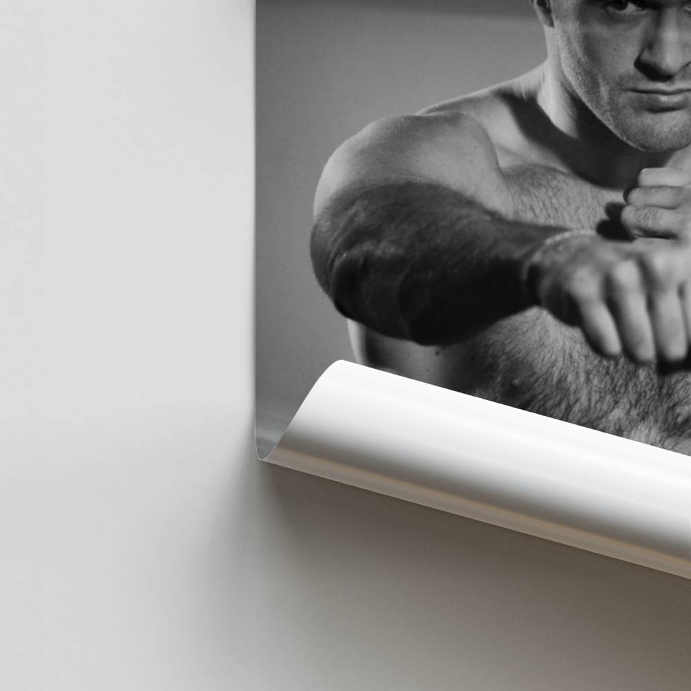 Poster-Boxchampion