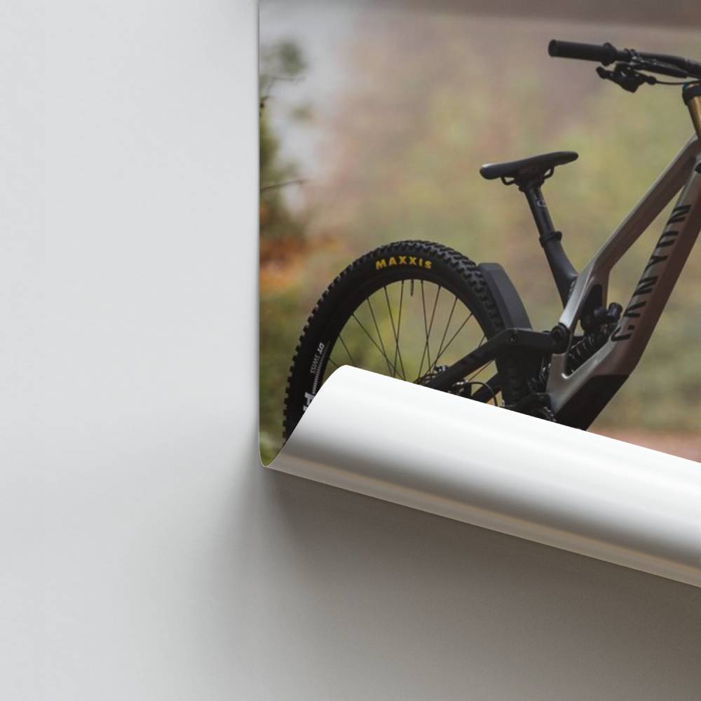 Poster Trail Automnal