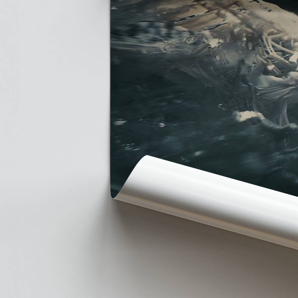 Poster Die neue Welt