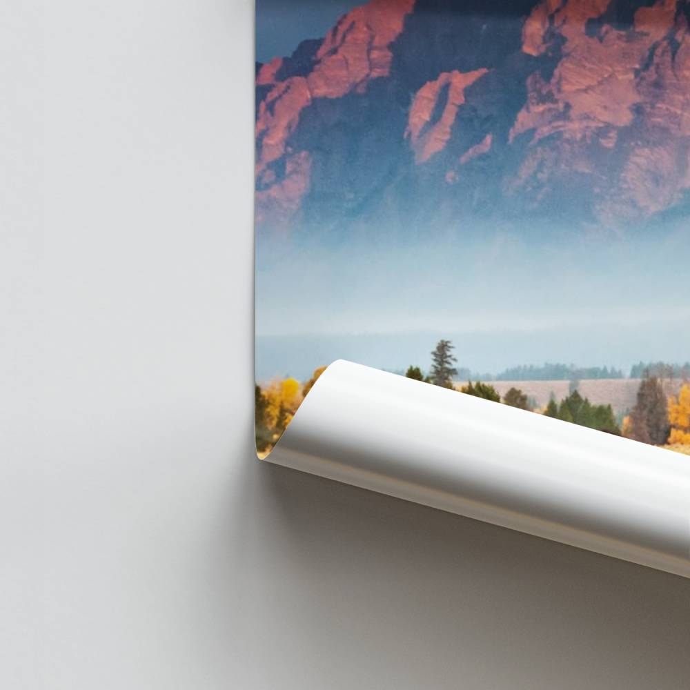Poster Bison und Berge
