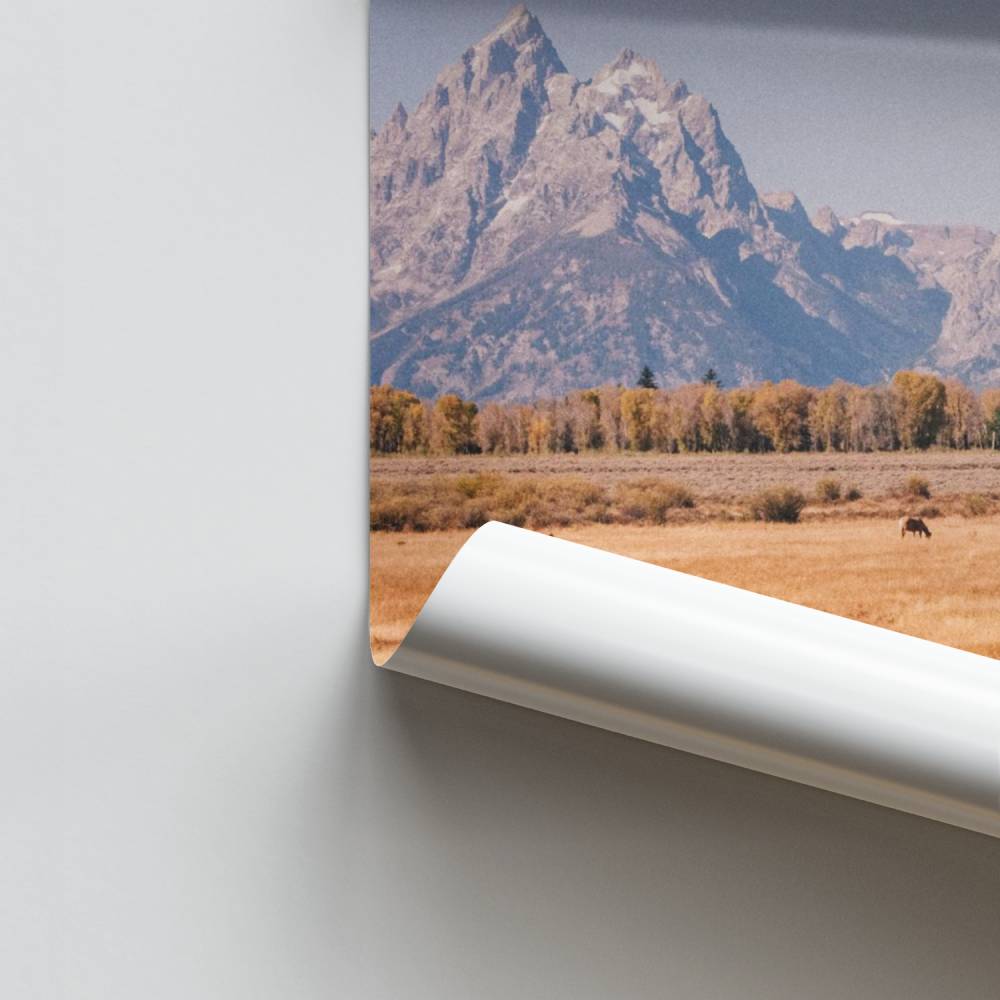 Poster Prairie Yellowstone