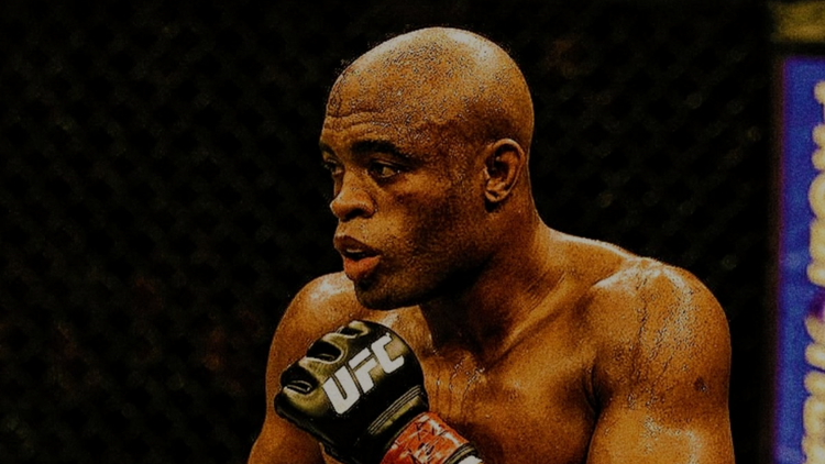 Posters Anderson Silva