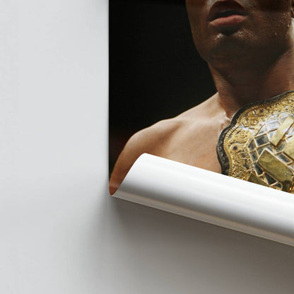 Poster Anderson Silva Gürtel