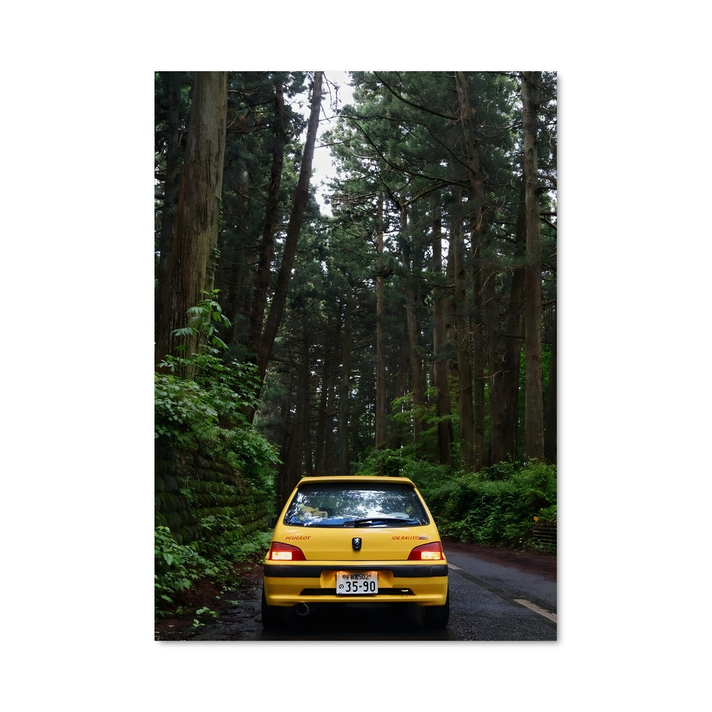 Poster 106 gti 79094