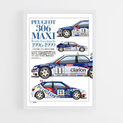 ap-106 rallye-2 cadre Blanc