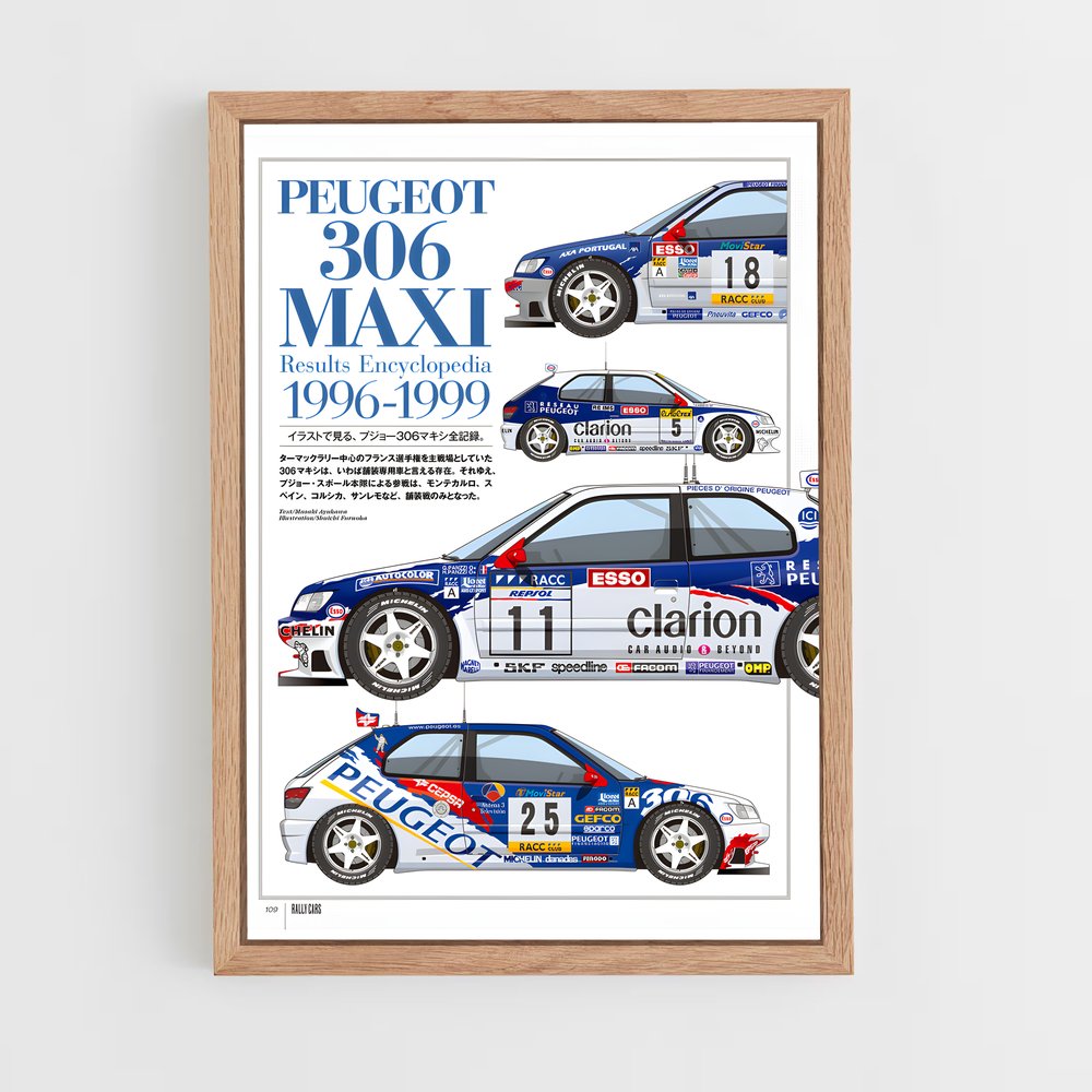 ap-106 rallye-2 cadre Bois clair