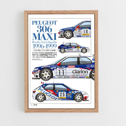 ap-106 rallye-2 cadre Bois clair