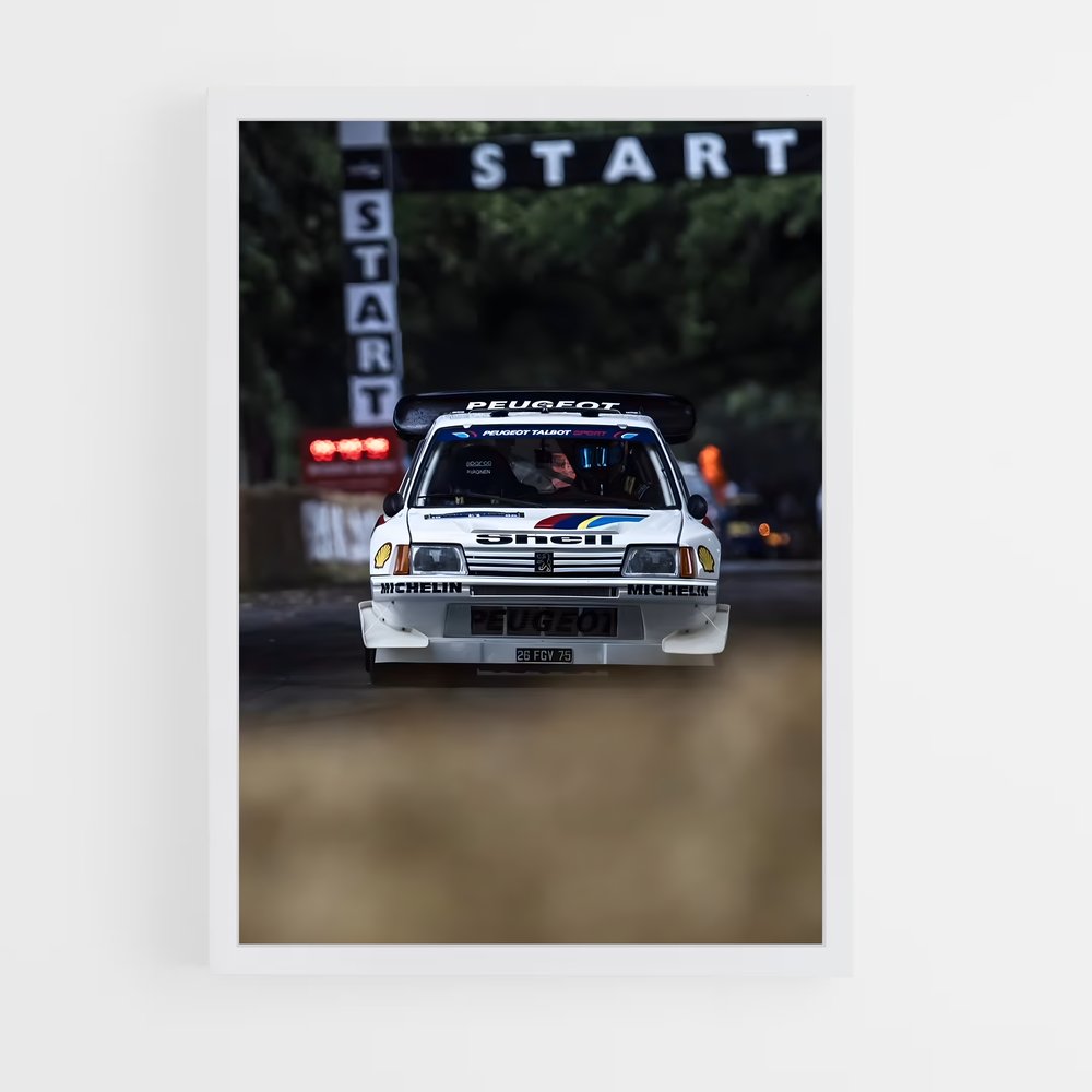 ap-205 rallye-2 cadre Blanc