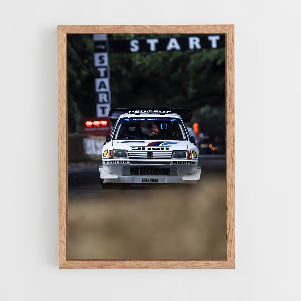 ap-205 rallye-2 cadre Bois clair